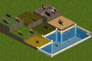 Endangered Animals