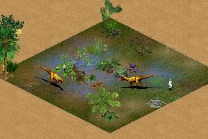 Sailords of Land and Water