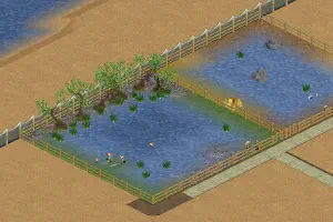 South American Pack