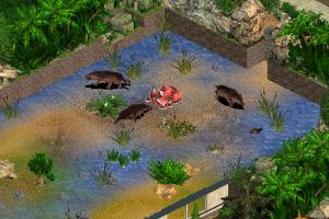 Andrewsarchus