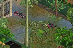 Arthropleura