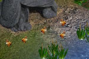 Dodo Bird
