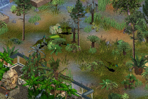 Dryosaurus