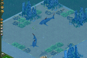 Helicoprion