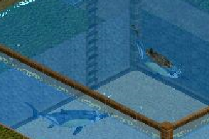Ichthyosaurus