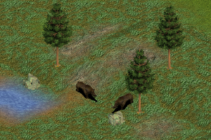 Megacerops