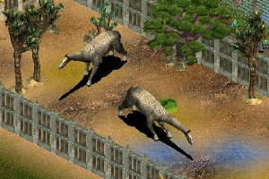 Paraceratherium