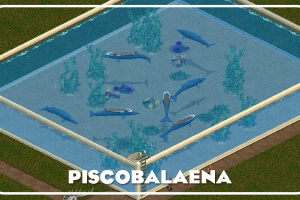 Piscobalaena