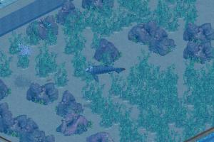 Titanichthys
