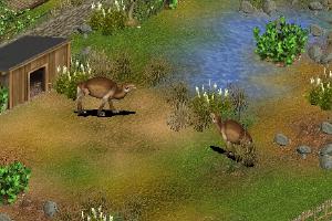 Giant Camel (Titanotylopus)