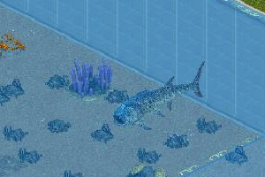 Xiphactinus