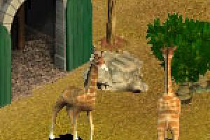 Moonwalking Giraffe