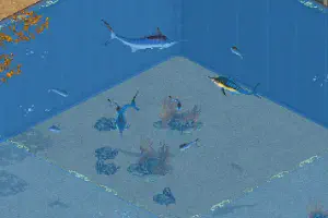 Atlantic Blue Marlin