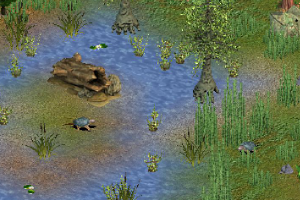 Common Snapping Turtle