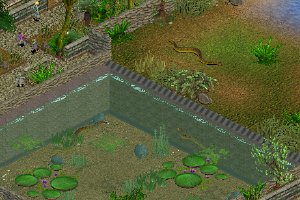 Green Anaconda