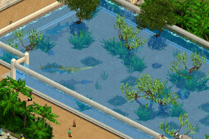Green Sawfish