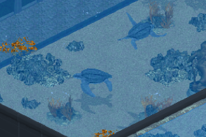 Leatherback Turtle