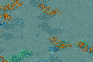 Bluefin Tuna Patch