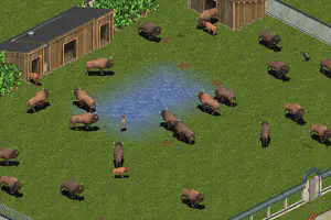 Palette Edits & Dimorphism Hack: American Bison