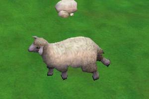Ambient Sheep