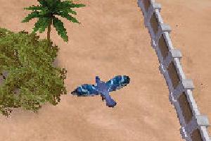Blue Jay