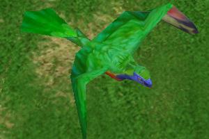 Rainbow Lorikeet