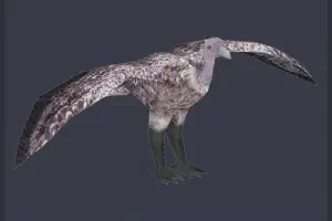 Ruppell's Vulture