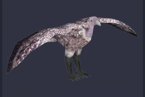 Ruppell's Vulture