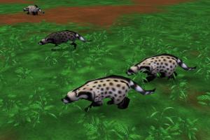 African Civet and Giant Eland