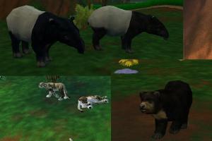 Asian Pack Part 1