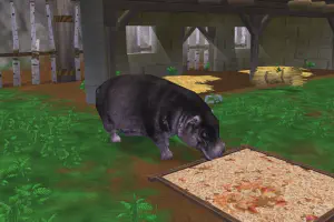 Hexaprotodon Pack
