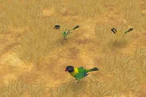 Lovely Lovebirds 1
