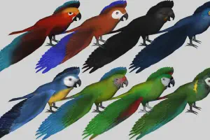 Macaw Pack P2