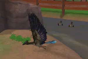 Archaeopteryx