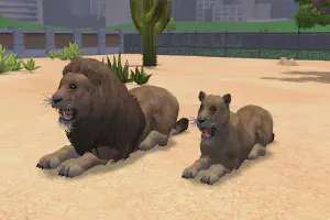 Barbary Lion