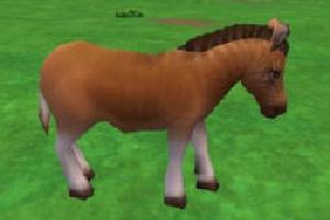 Quagga