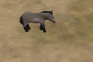 Tarpan