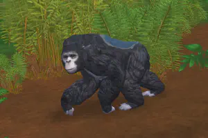 Blue-backed Gorilla