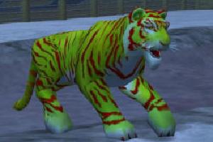 Christmas Tiger