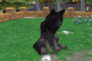 Fenris Wolf II