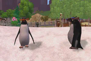 Killer Penguin