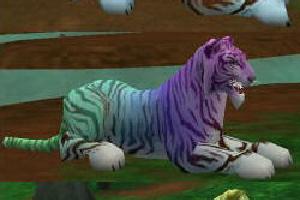 Party Tiger