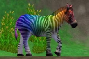 Party Zebra