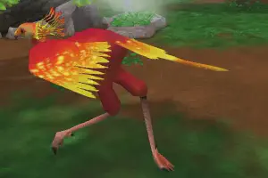 Phoenix