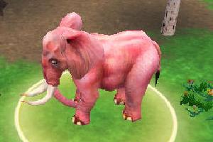 Pink Elephant