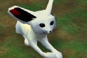 Silver Eevee