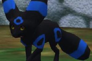 Umbreon and Blue Umbreon