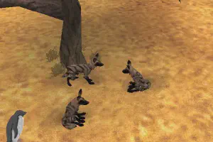 Aardwolf