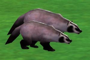 American Badger II
