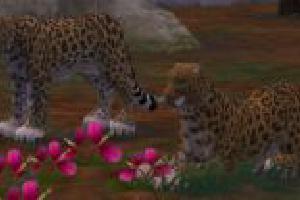 Amur Leopard II (ES Version)